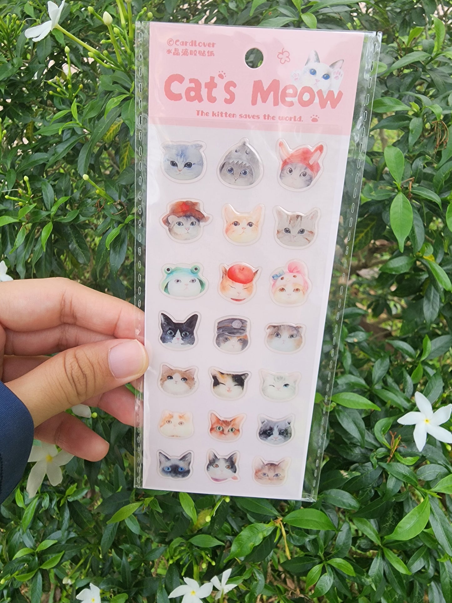 Cat Stickers